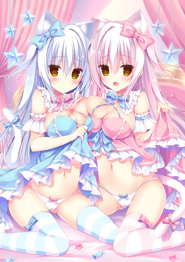 双子の白猫ちゃん