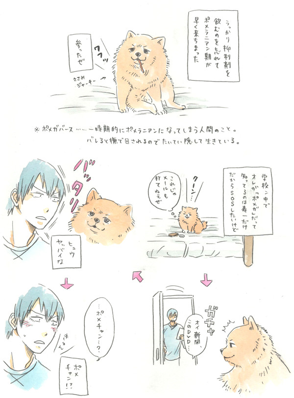 ポメガバース新開さん