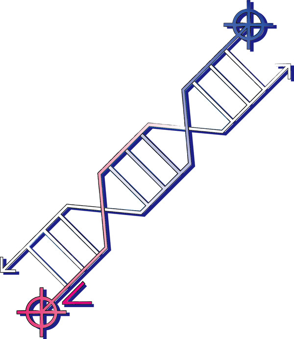 DNA