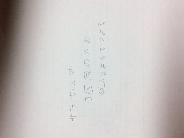 サラちゃんは3匹目の犬を従えるようですよ？  1
