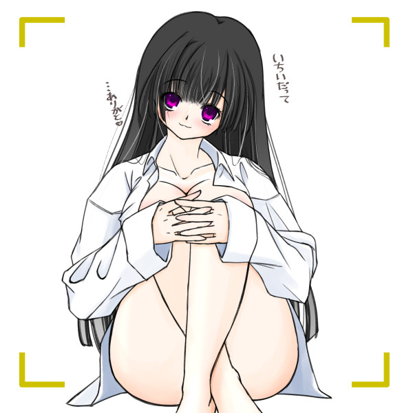 うちのこ人気投票■はだYシリーズ編■結果発表