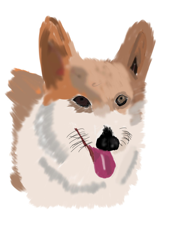飼い犬