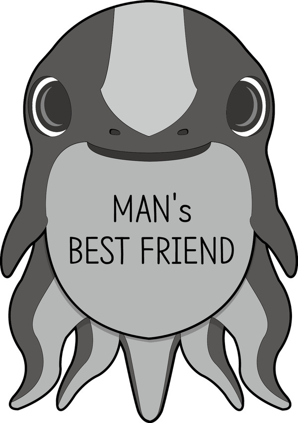 껴안고기(cuddlefish)