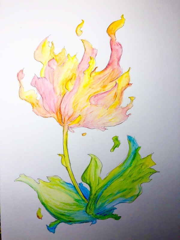 花炎