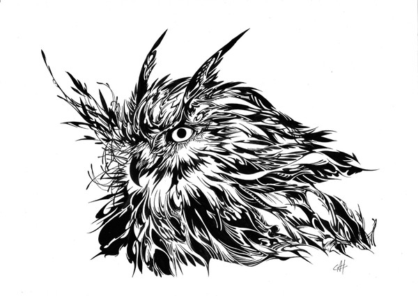 ミミズクトライバル