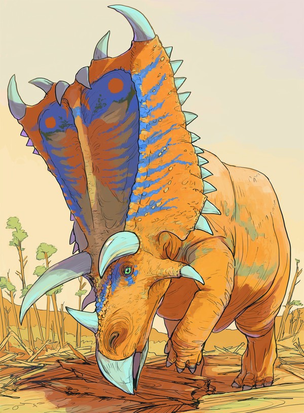 PENTACERATOPS