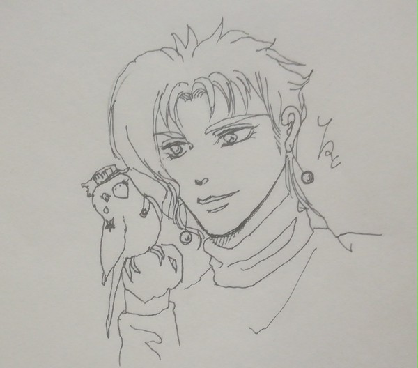 花京院と承太郎インコ2