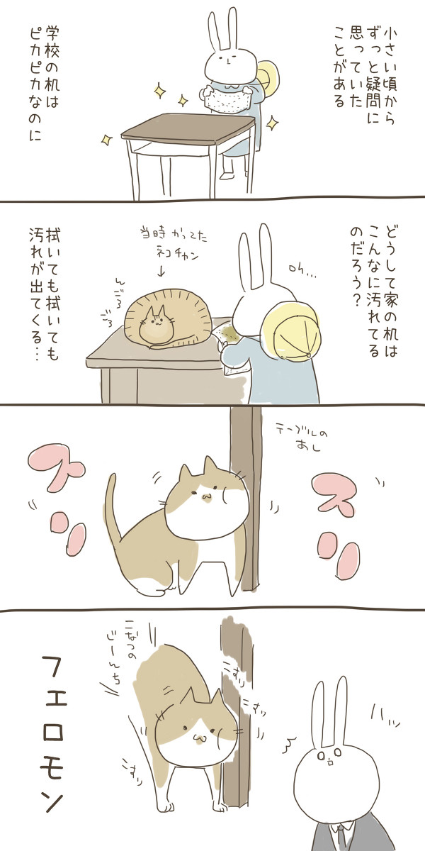 こなつさんはおてんばネコチャン２