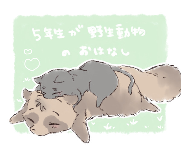 五年もふもふログ