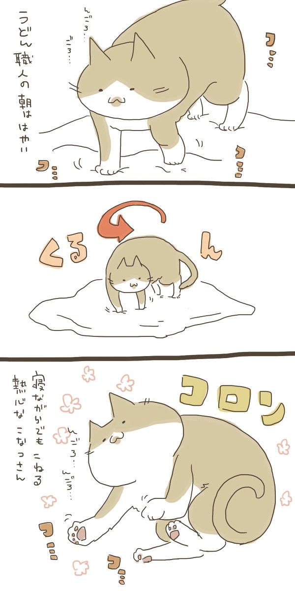 こなつさんはおてんばネコチャン３