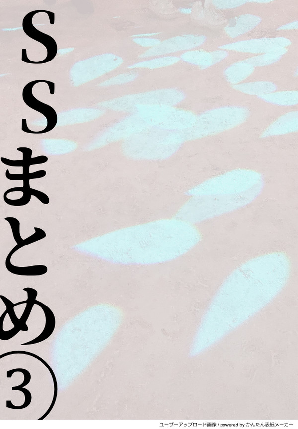SSまとめ③