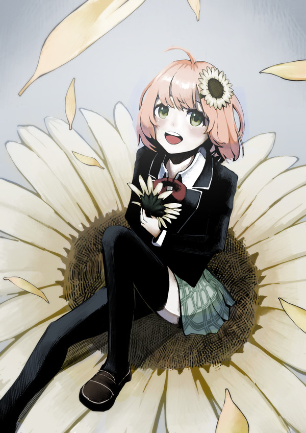 ひまわり