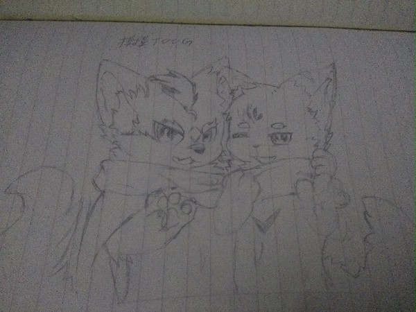 摸摸furry