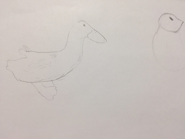 Bird doodle