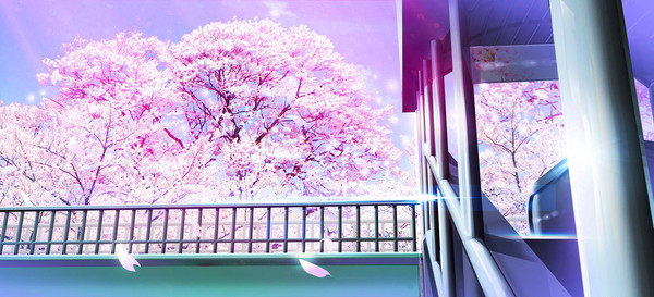 桜の木 - 1/1