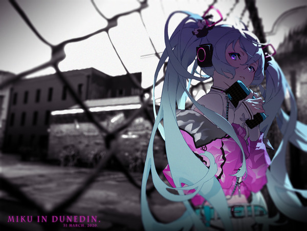 Miku in Dunedin