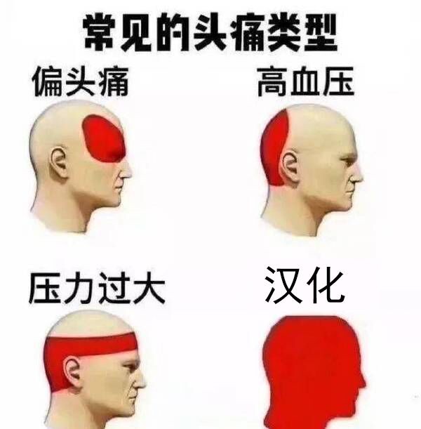 【汉化组斗图日常】常见的头疼类型