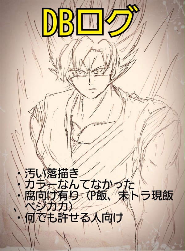 【腐向け有り】DBログ【落描き】