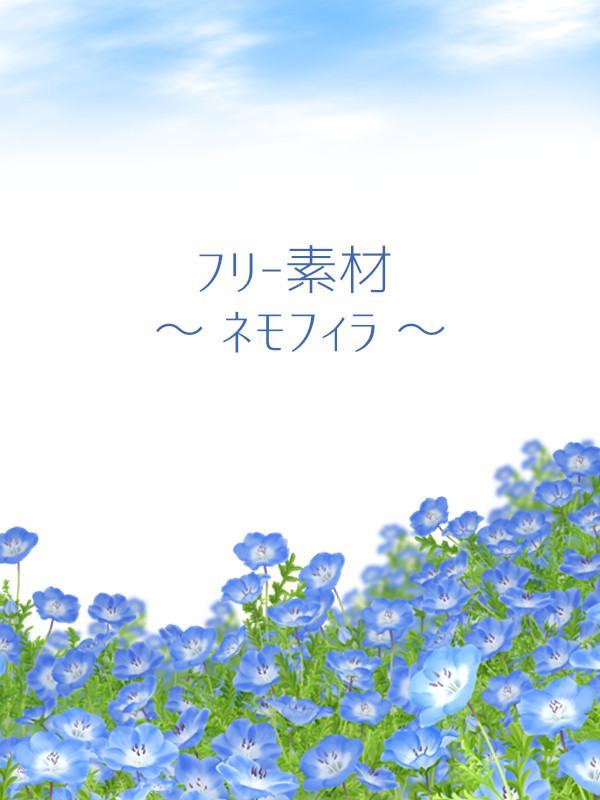 【フリー素材】ネモフィラ