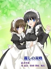 メイド小説の表紙