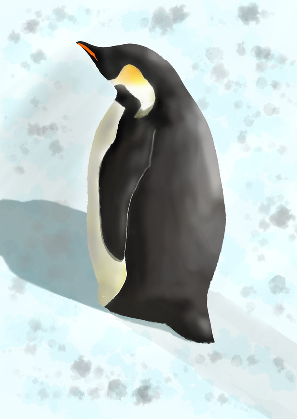 ペンギン