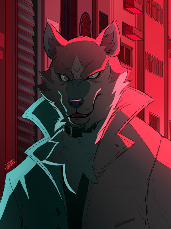 Justice Wolf