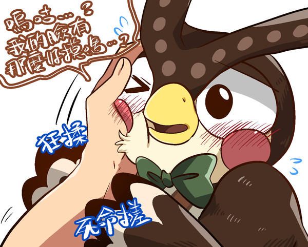 【中国語注意】フータくんもふもふもふ