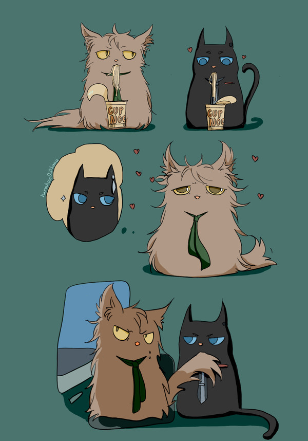 富豪猫猫（2）