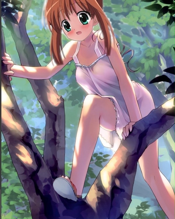 木に登る桜あかりちゃん ジュエルペットてぃんくる