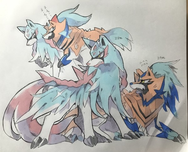 ザシアン&ザマゼンタ詰め