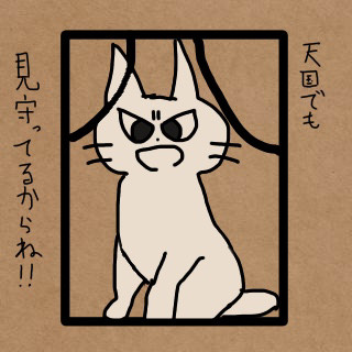 死んだねこ