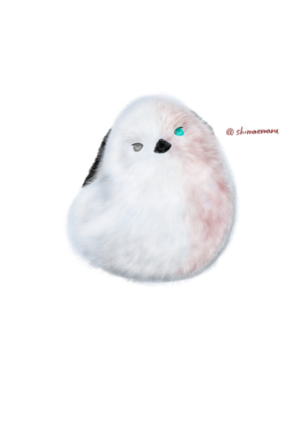 しょうとエナガ