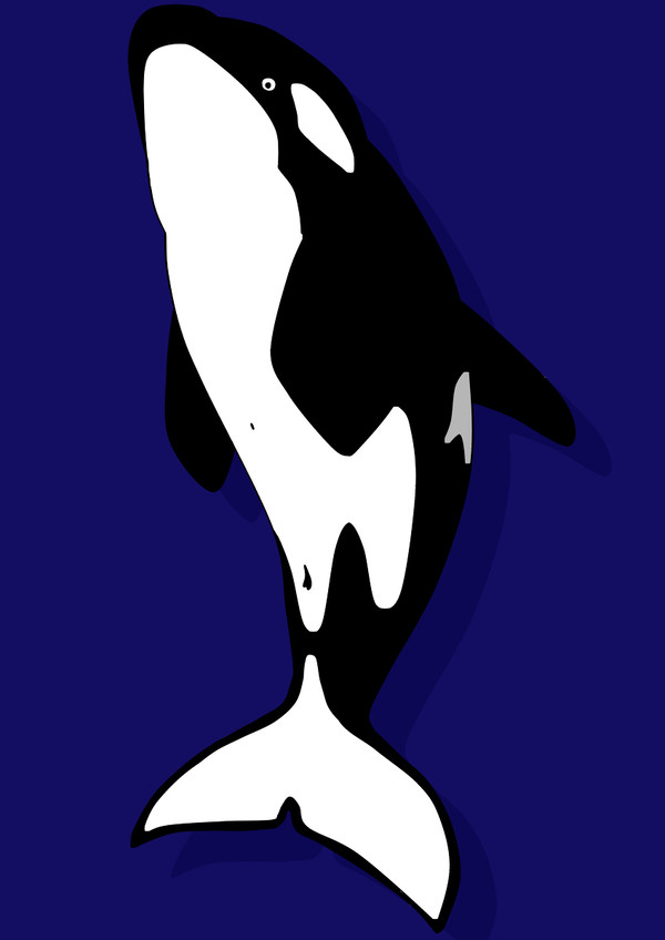 ORCA
