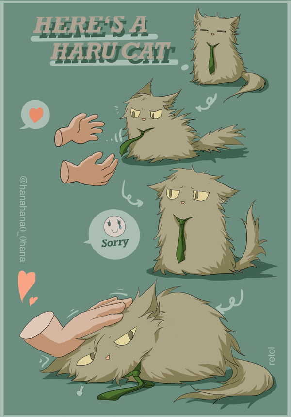 富豪猫猫（3）