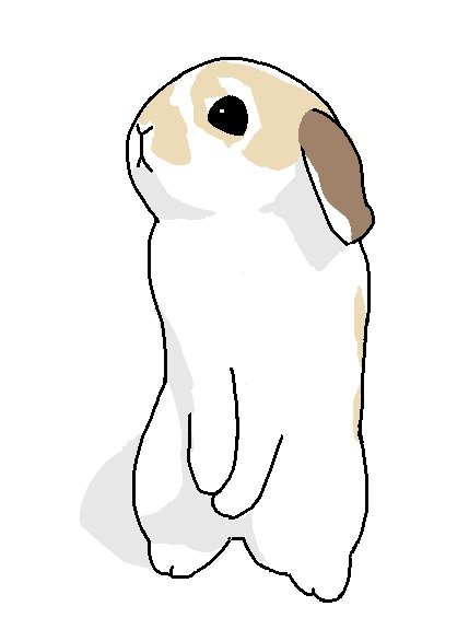 4週目