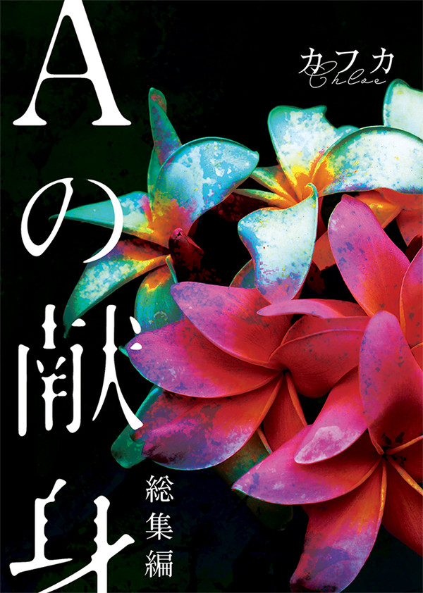 【降谷夢】Aの献身【総集編】