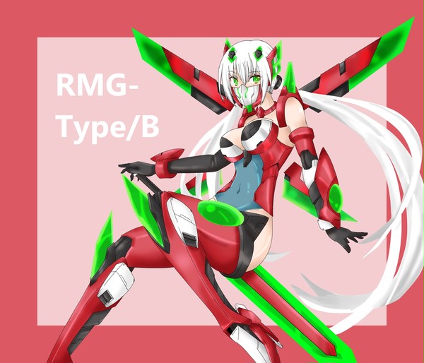 RMG-Type/B