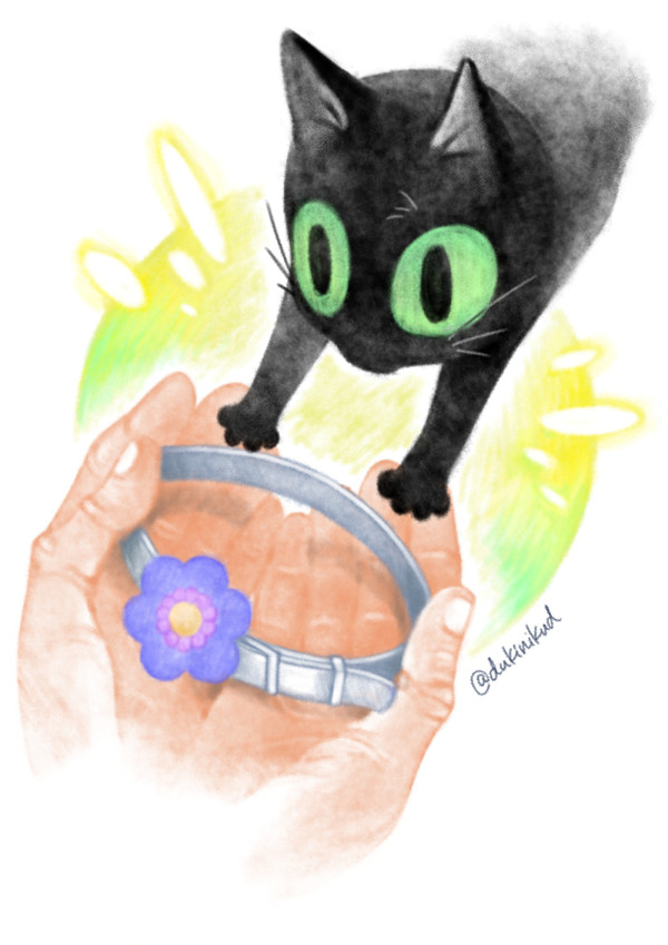 首輪あった!