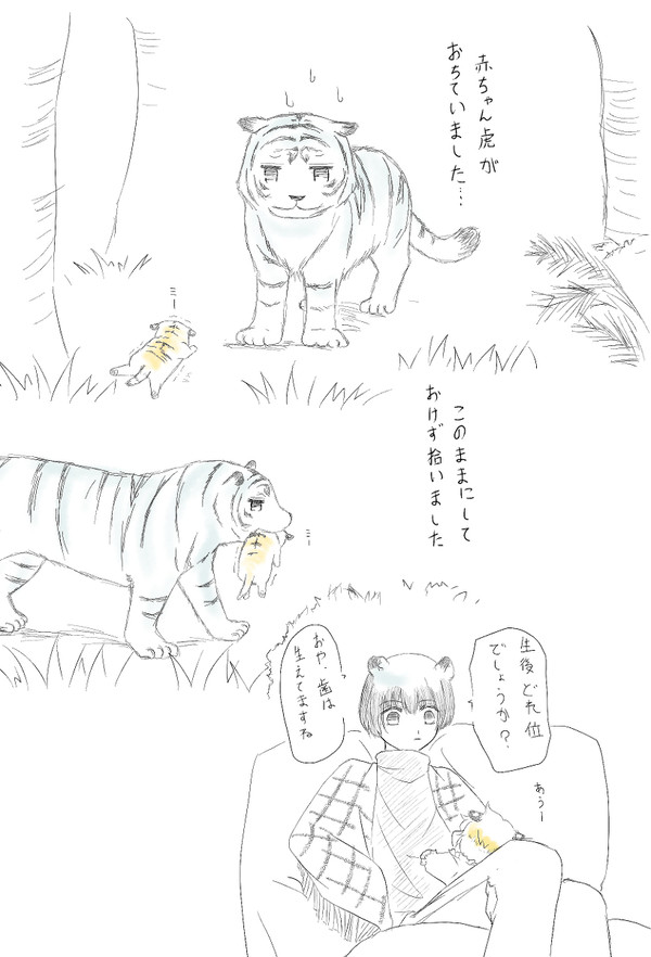 【島国】トラ島国まんが詰【腐】