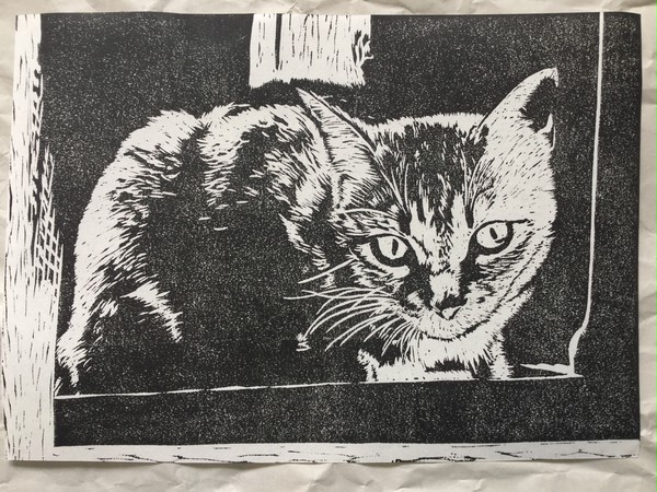 ねこ