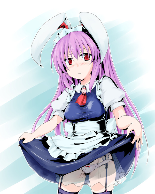 めいどんげ