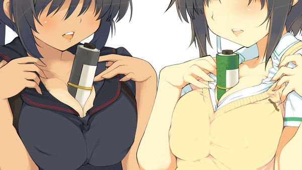 飛鳥と焔