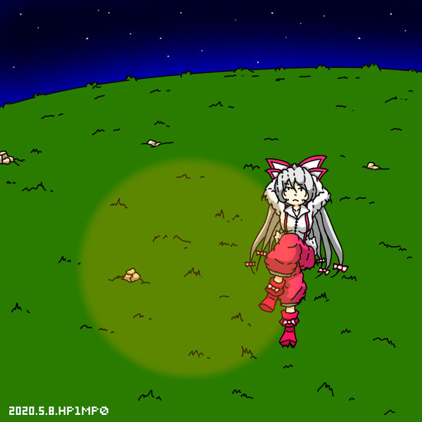 花火を観るもこたん