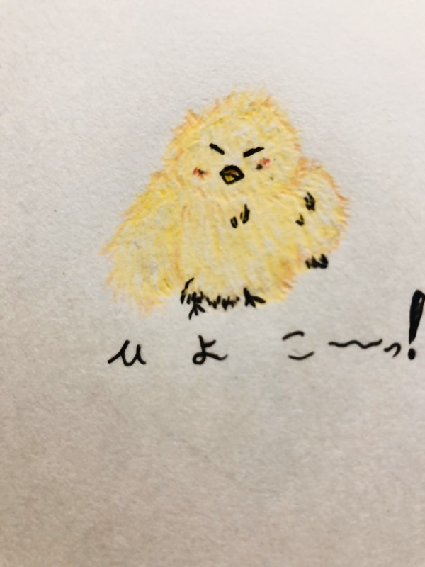 ヒヨコ。