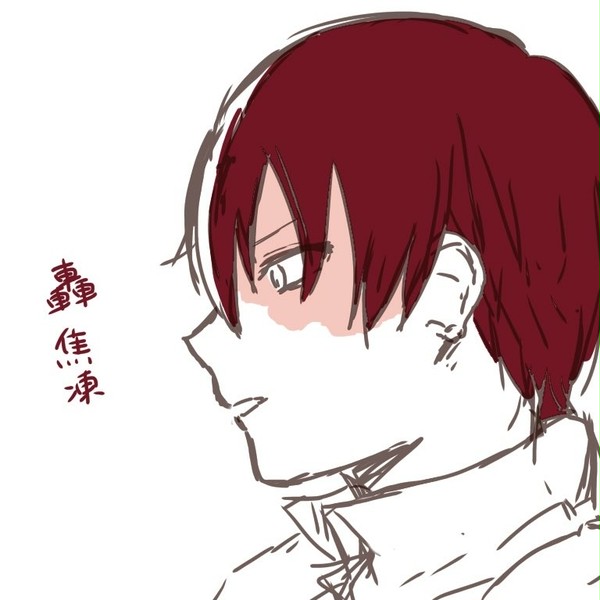 とどろきくん