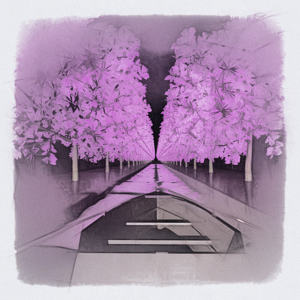 常世桜