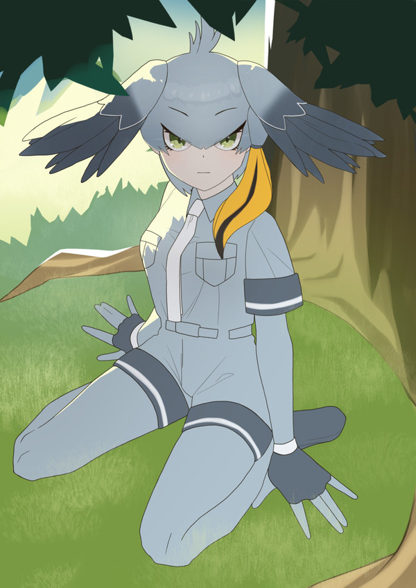 ハシビロコウちゃん