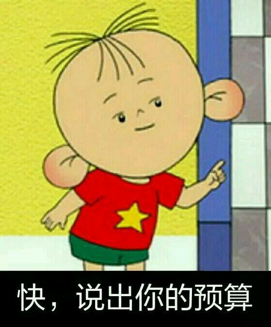 快，说出你的预算