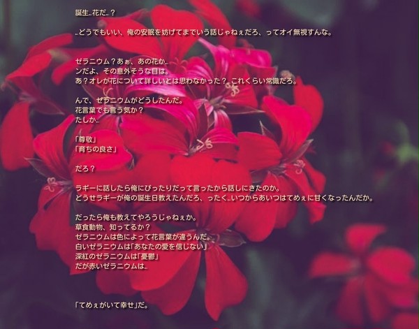 誕生花を貴方に。