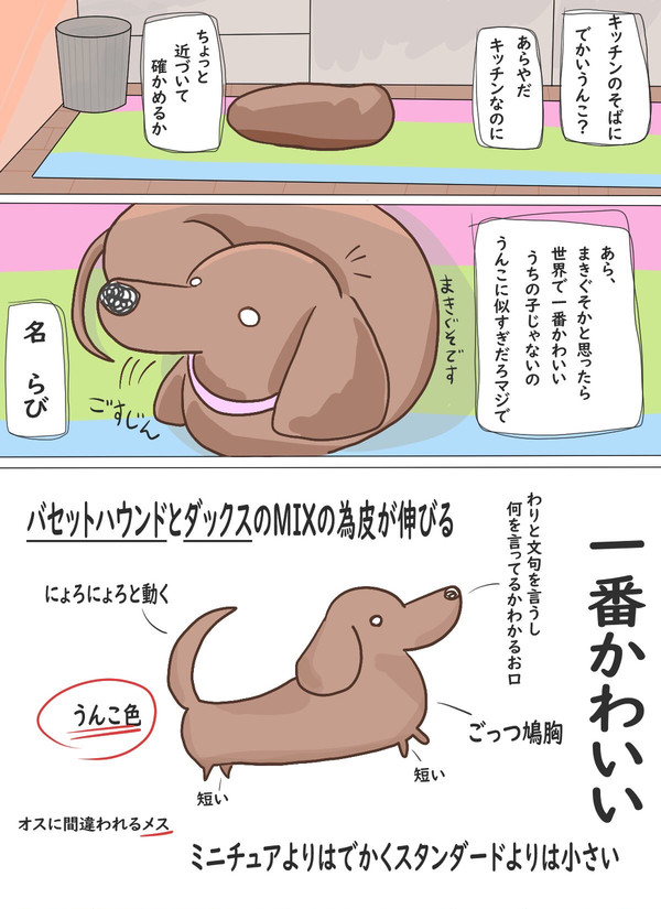 うちの子1番うんこ
